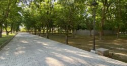 Terreno Nogal 10