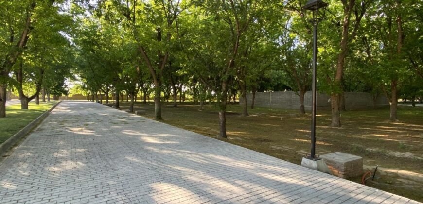 Terreno Nogal 10