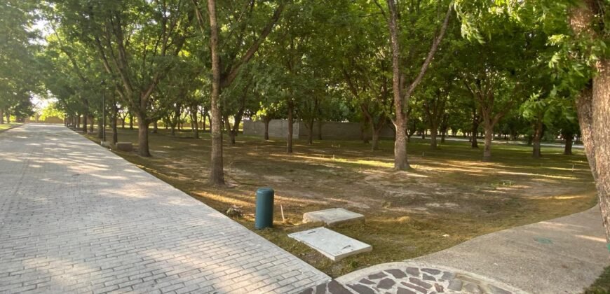 Terreno Nogal 11