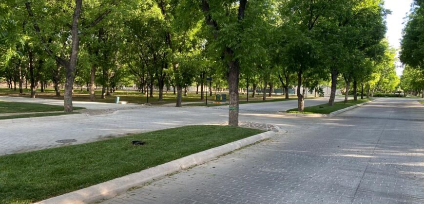 Terreno Nogal 11