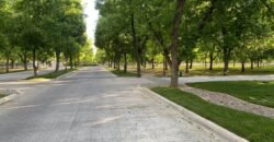 Terreno Nogal 11