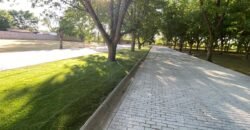 Terreno Nogal 10