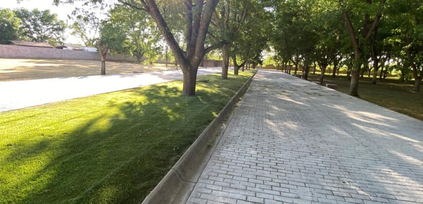 Terreno Nogal 10