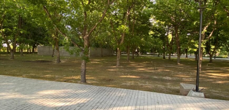 Terreno Nogal 10